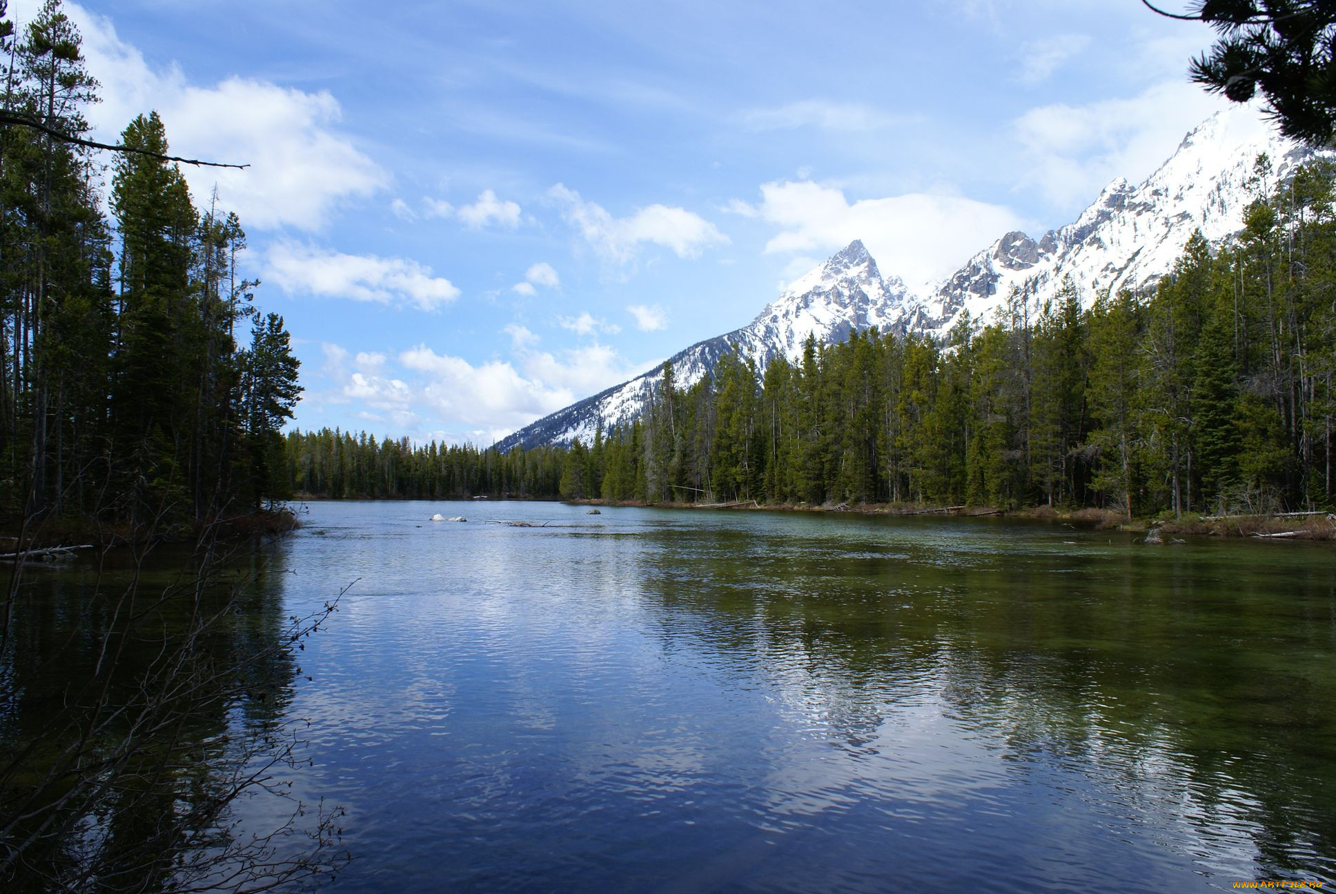 Озеро ели. Река Кушела. Есть река ель. I Lake.